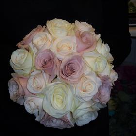 fwthumb007 (5).jpg